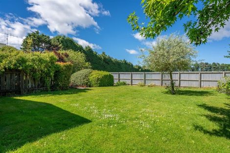 Photo of property in 109 Mckenzie Street, Geraldine, 7930