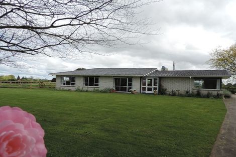 Photo of property in 31 Stopford Road, Te Poi, Matamata, 3473