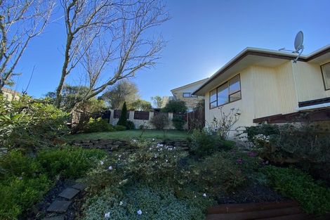 Photo of property in 107 Weatherly Road, Torbay, Auckland, 0630