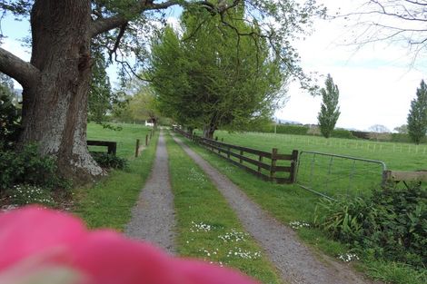 Photo of property in 31 Stopford Road, Te Poi, Matamata, 3473