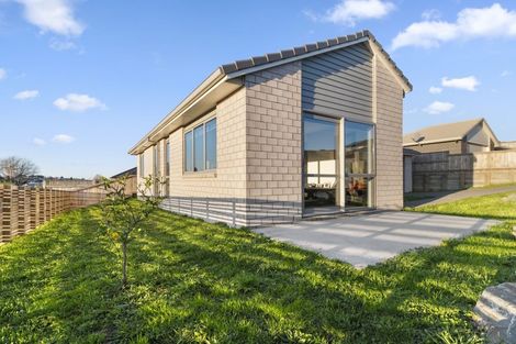 Photo of property in 95 Bert Wall Drive, Omokoroa, 3114