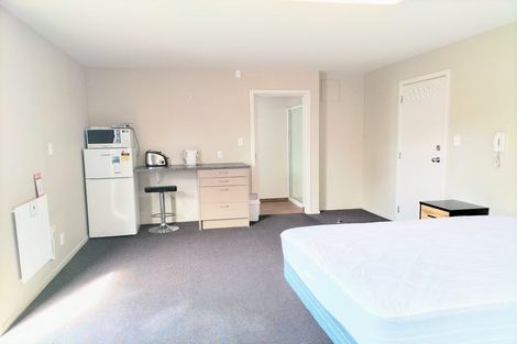Photo of property in 43 Lees Street, Dunedin Central, Dunedin, 9016