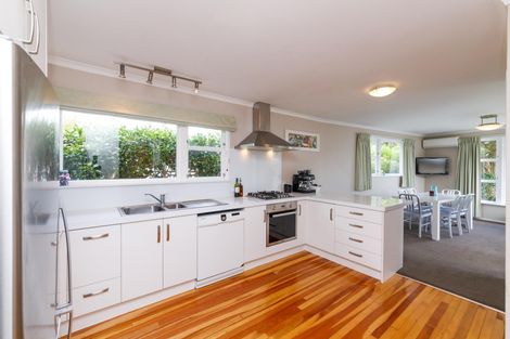 Photo of property in 151 Limbrick Street, Terrace End, Palmerston North, 4410