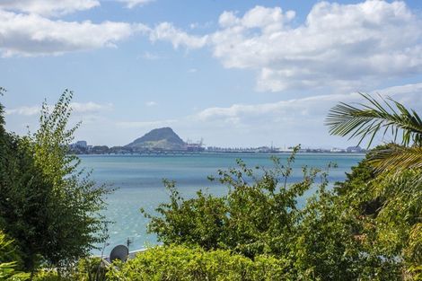 Photo of property in 10 Anchorage Grove, Maungatapu, Tauranga, 3112