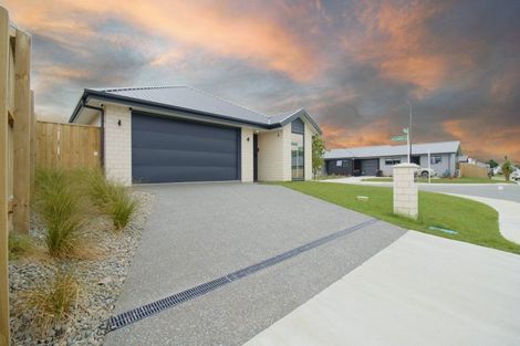 Photo of property in 1 Ellmers Street, Woodend, 7610