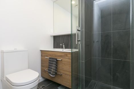 Photo of property in Vsp South, 303/168 Victoria Street, Te Aro, Wellington, 6011