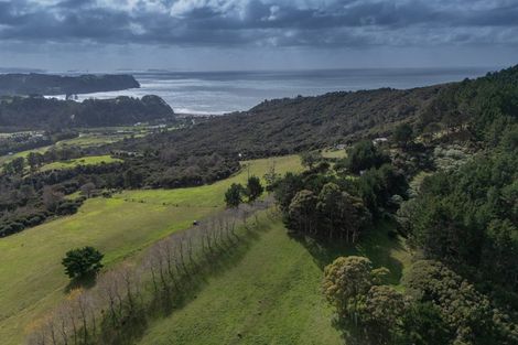 Photo of property in 425n Boat Harbour Road, Whenuakite, Whitianga, 3591
