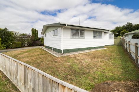 Photo of property in 50 Dewe Avenue, Feilding, 4702