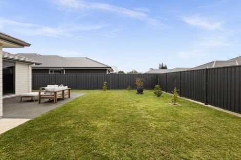 Photo of property in 42 Lochhead Street, Mahora, Hastings, 4120