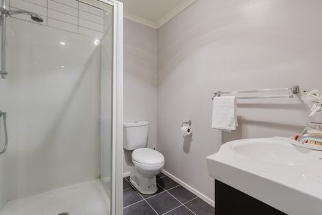 Photo of property in 217a Killarney Road, Frankton, Hamilton, 3204