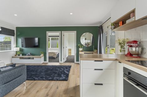 Photo of property in 38 Monaghan Street, Cromwell, 9310