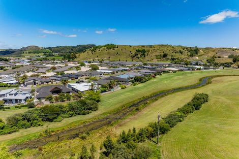 Photo of property in 58 Merlot Drive, Greenmeadows, Napier, 4112