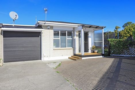 Photo of property in 3/209 Nikau Street, Saint Leonards, Hastings, 4120