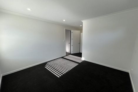 Photo of property in 3 Rumney Street, Fairfield, Hamilton, 3214