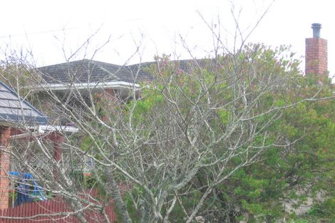 Photo of property in 48a Don Buck Road, Massey, Auckland, 0614