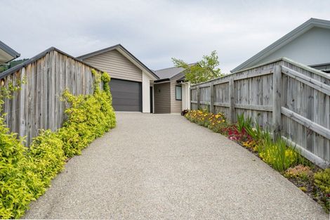 Photo of property in 14 Julius Place, Richmond, 7020