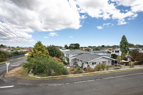 Photo of property in 20 Grey Street, Marton, 4710