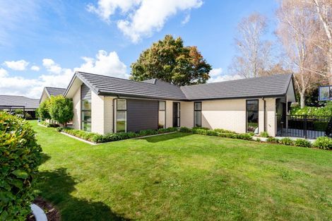 Photo of property in 35 Banks Road, Matamata, 3400