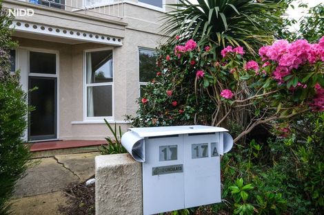 Photo of property in 17 Scarba Street, Roslyn, Dunedin, 9010