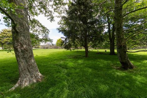 Photo of property in 933 Makomako Road, Pahiatua, 4983
