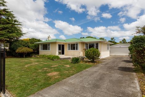 Photo of property in 151 Limbrick Street, Terrace End, Palmerston North, 4410