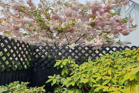 Photo of property in 1/112 Elizabeth Street, Riccarton, Christchurch, 8041