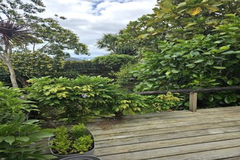 Photo of property in 11 Wellpark Avenue, Grey Lynn, Auckland, 1021