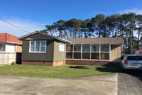 Photo of property in 171 Portage Road, New Lynn, Auckland, 0600