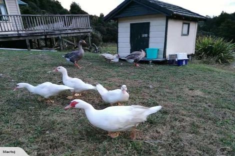 Photo of property in 909 Upper Waiwera Road, Tahekeroa, Silverdale, 0994