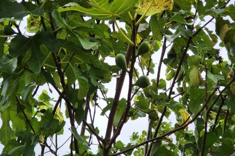 Photo of property in 9 Aralia Road, Sunnynook, Auckland, 0620