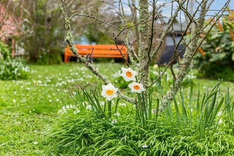 Photo of property in 25 Palm Grove, Belmont, Lower Hutt, 5010