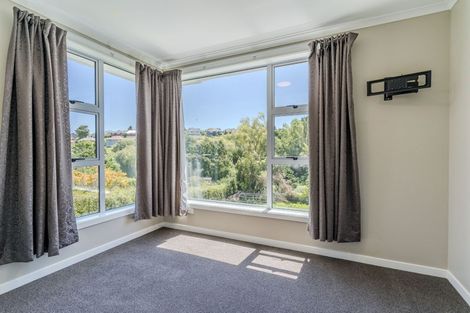 Photo of property in 20 Panmure Avenue, Calton Hill, Dunedin, 9012