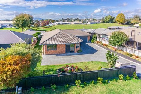 Photo of property in 229 Raeburne Street, Te Awamutu, 3800