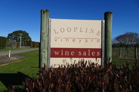 Photo of property in 42 Loop Line, Opaki, Masterton, 5881