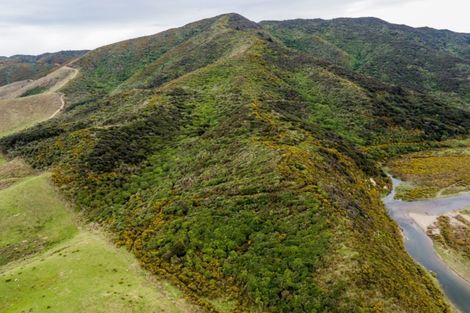 Photo of property in 828 Coast Road, Wainuiomata Coast, Lower Hutt, 5373