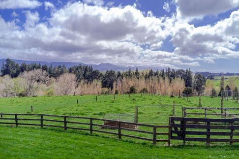 Photo of property in 185a Tipapakuku Road, Dannevirke, 4930