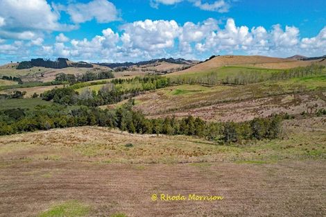 Photo of property in 196 Metcalfe Road, Matakohe, 0593