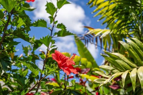 Photo of property in 11 Tiaki Rise, Tikipunga, Whangarei, 0112