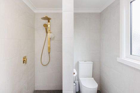 Photo of property in 32 Manson Street, Terrace End, Palmerston North, 4410