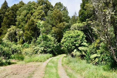 Photo of property in 4589 Karamea Highway, Karamea, 7893