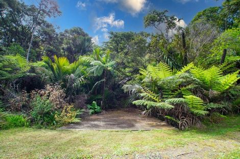 Photo of property in 47 Little Bay Drive, Waikawau, Coromandel, 3584