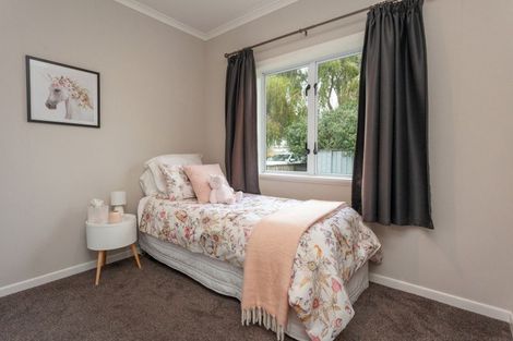 Photo of property in 49 Burwood Road, Matamata, 3400