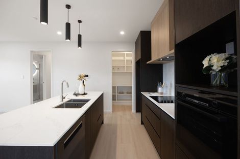 Photo of property in 17 Auburn Green, Peacocke, 3206