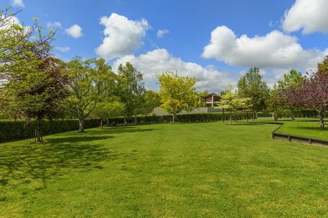 Photo of property in 84 Freeburn Road, Pyes Pa, Tauranga, 3112