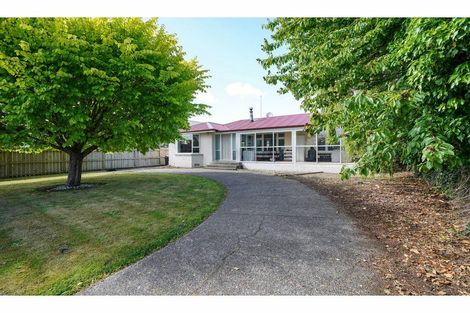 Photo of property in 125 Terrace Street, Rosedale, Invercargill, 9810