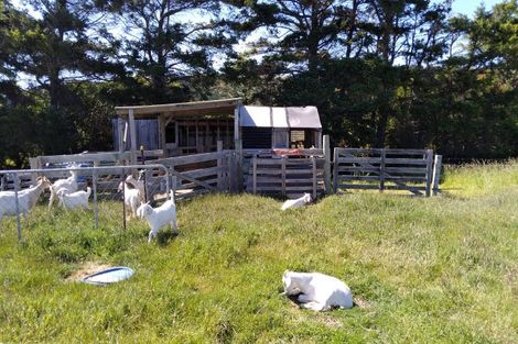 Photo of property in 660p Cathedral Road, Domett, Cheviot, 7383