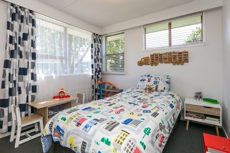 Photo of property in 503 Poplar Place, Akina, Hastings, 4122