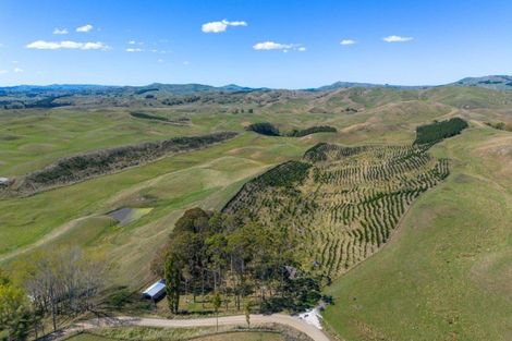 Photo of property in 300 Pattison Road, Akina, Hastings, 4122