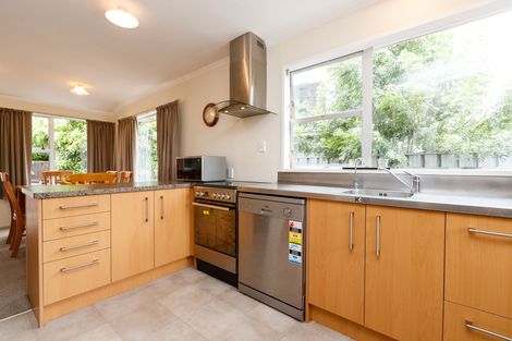 Photo of property in 53 Abraham Crescent, Milson, Palmerston North, 4414