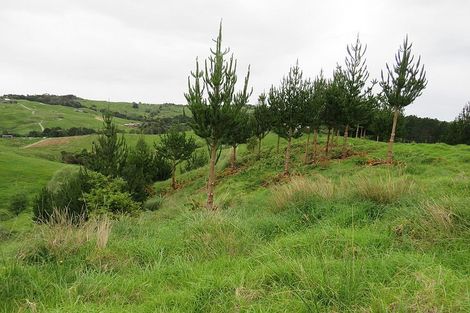 Photo of property in 289 Franklin Road, Paparoa, 0571